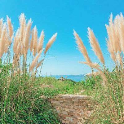 开云集团手机app下载