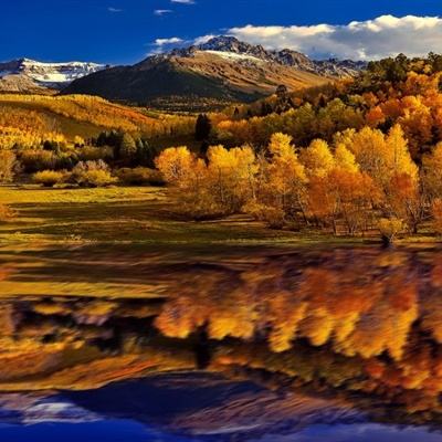 彩票app下载2023最新版截图