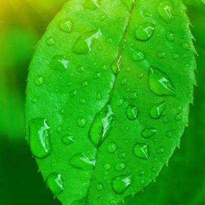 Kaiyun(云开)体育App截图